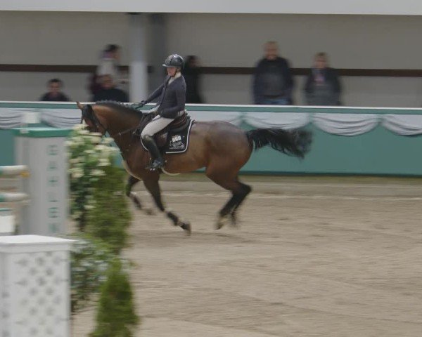 Reitturnier Gahlen 2025