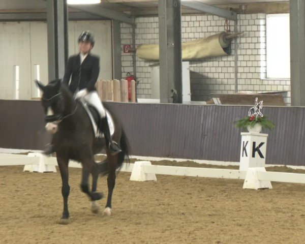 Reitturnier Bottrop-Kirchhellen 2025