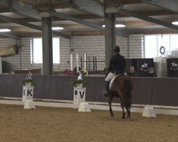 Reitturnier Bottrop-Kirchhellen 2025