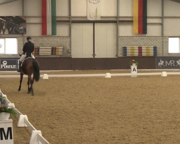 Reitturnier Bottrop-Kirchhellen 2025