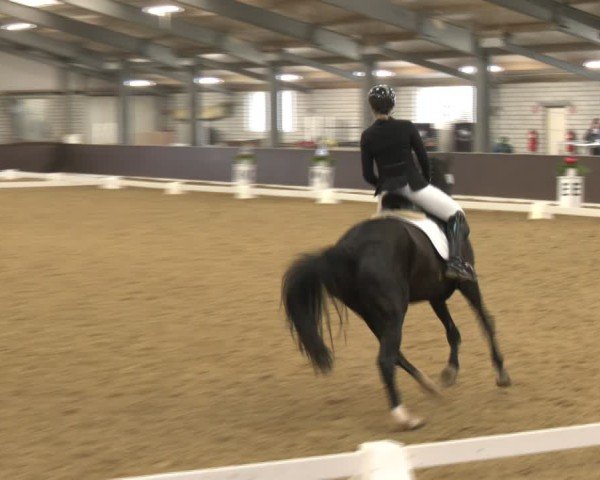 Reitturnier Bottrop-Kirchhellen 2025