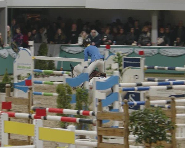 Reitturnier Gahlen 2025