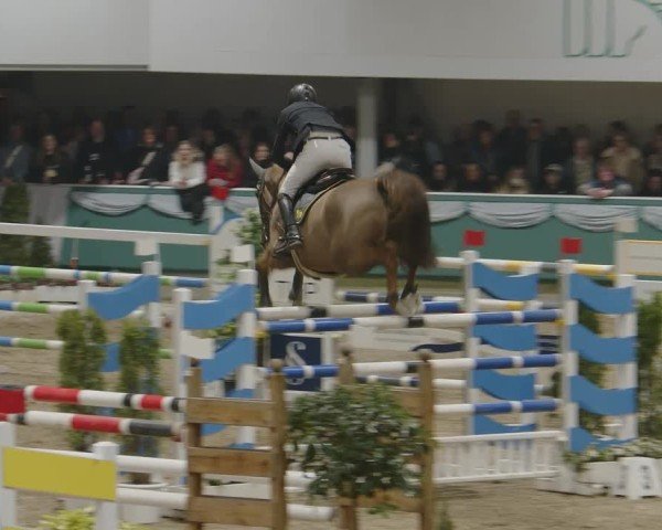 Reitturnier Gahlen 2025