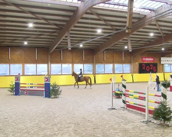 Reitturnier Dielsdorf 2025