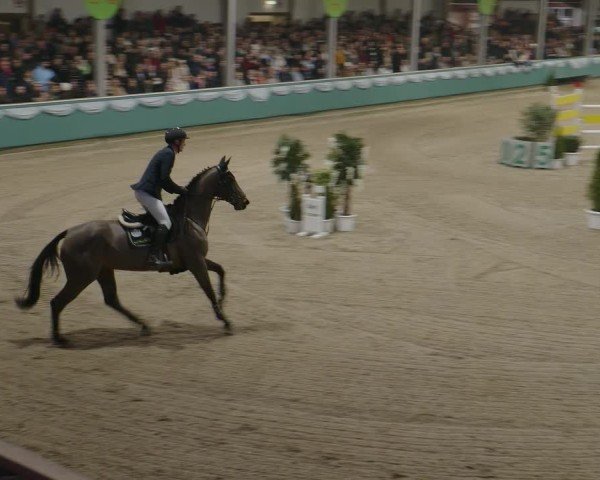 Reitturnier Gahlen 2025