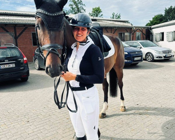 dressage horse Surprise 295 (Hanoverian, 2019, from Skyliner 5)