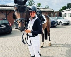 dressage horse Surprise 295 (Hanoverian, 2019, from Skyliner 5)