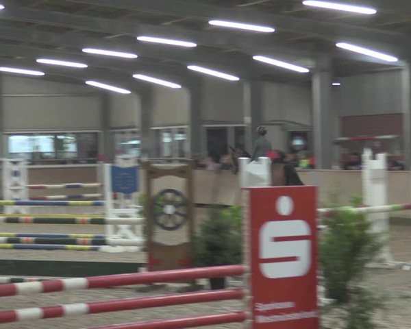 Reitturnier Ahaus 2021