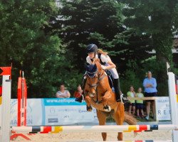 jumper Nevio 30 (German Riding Pony, 2015, from Nabucco 110)