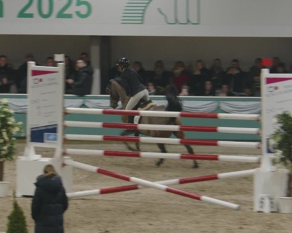 Reitturnier Gahlen 2025