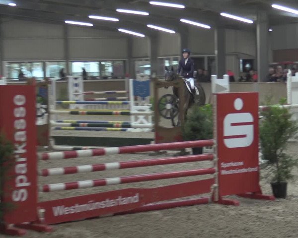 Reitturnier Ahaus 2021