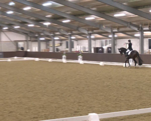 Reitturnier Bottrop-Kirchhellen 2025