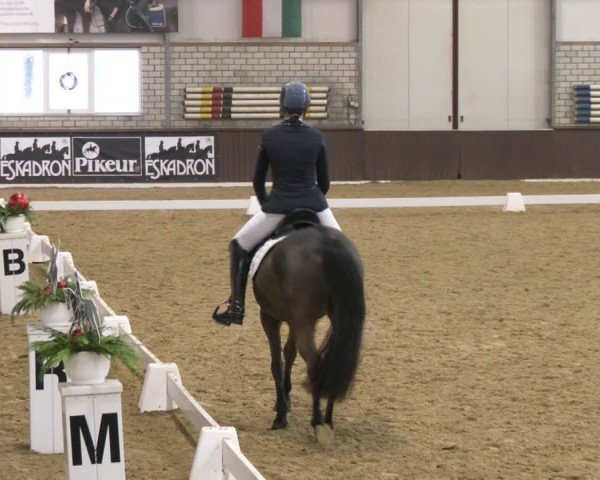 Reitturnier Bottrop-Kirchhellen 2025