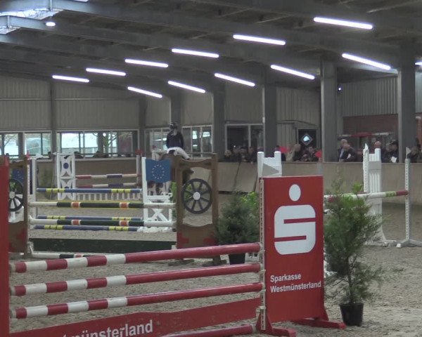 Reitturnier Ahaus 2021