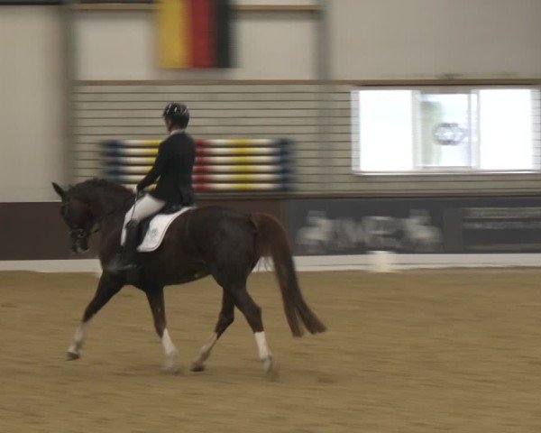 Reitturnier Bottrop-Kirchhellen 2025