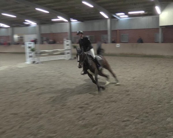 Reitturnier Ahaus 2021