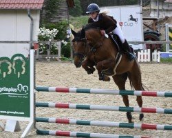 jumper Cisa F (Oldenburg show jumper, 2018, from Cicero Z van Paemel)