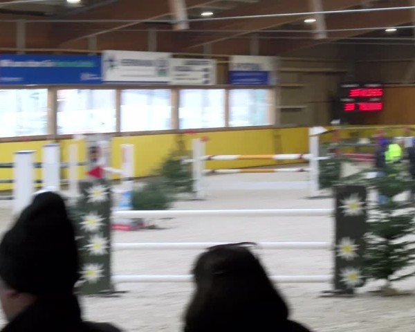 Reitturnier Dielsdorf 2025