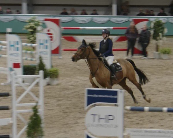 Reitturnier Gahlen 2025