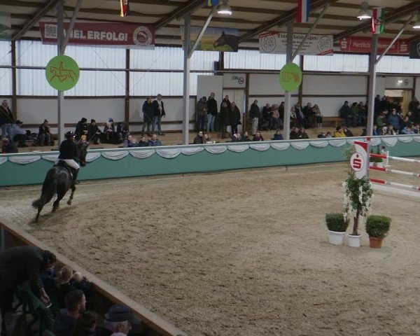 Reitturnier Gahlen 2025