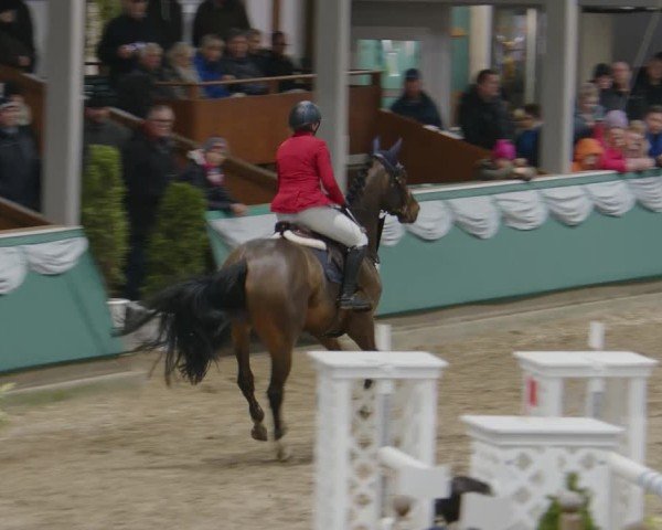 Reitturnier Gahlen 2025
