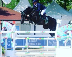 jumper Funny Boy (KWPN (Royal Dutch Sporthorse), 2010, from Guccio)