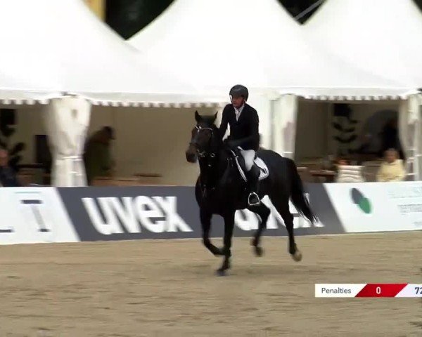 Reitturnier Paderborn-Schützenhof 2024