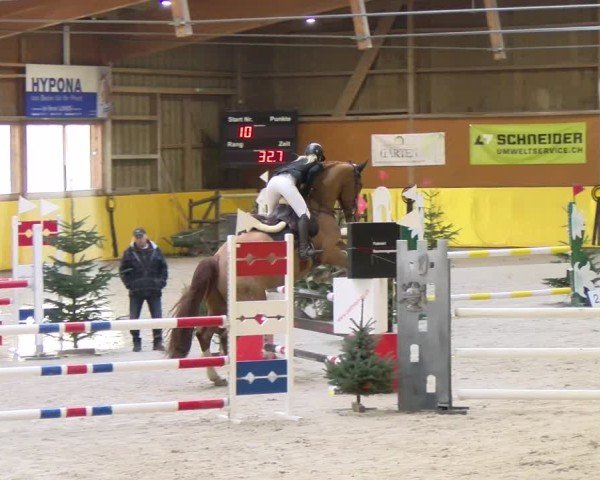 Reitturnier Dielsdorf 2025