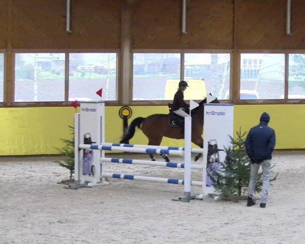 Reitturnier Dielsdorf 2025