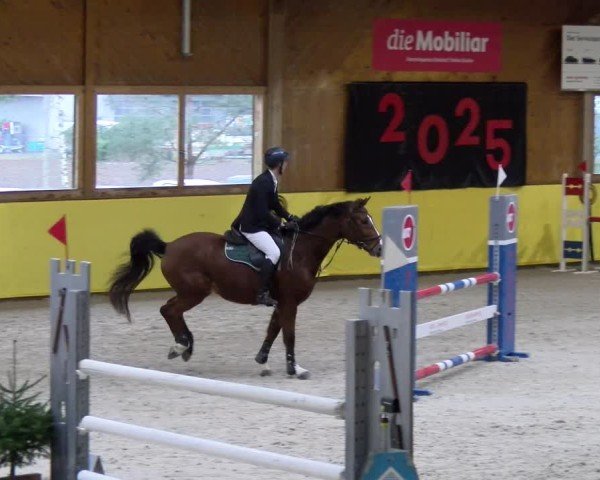Reitturnier Dielsdorf 2025