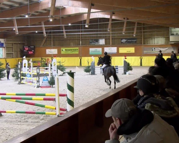 Reitturnier Dielsdorf 2025