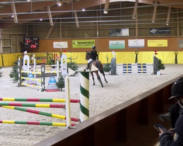 Reitturnier Dielsdorf 2025