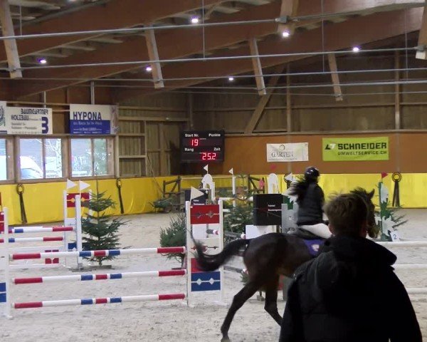 Reitturnier Dielsdorf 2025