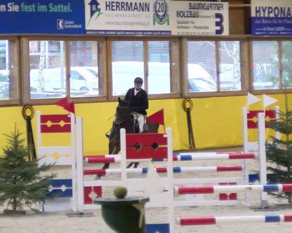 Reitturnier Dielsdorf 2025