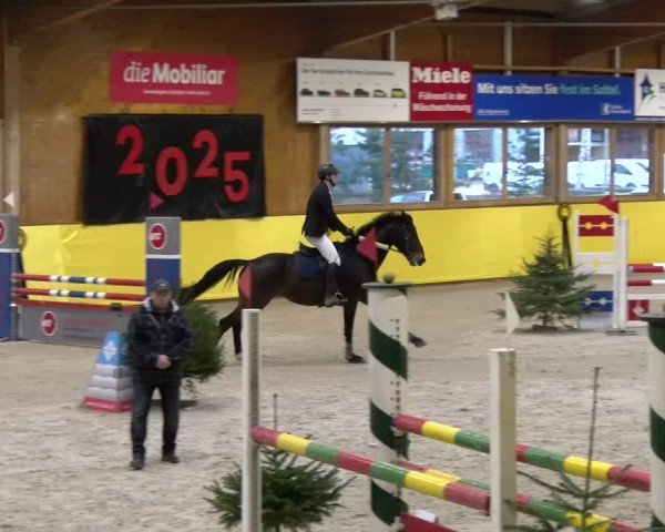 Reitturnier Dielsdorf 2025