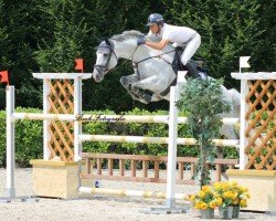 jumper Gama Cilton (Argentinian horse, 2003, from Carpe Diem Z)