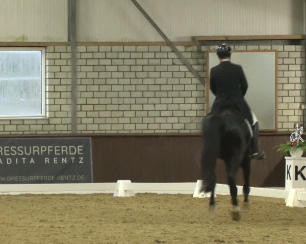 Reitturnier Bottrop-Kirchhellen 2025