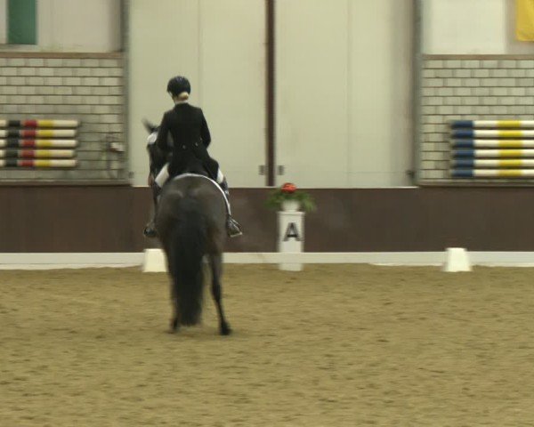 Reitturnier Bottrop-Kirchhellen 2025