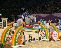 Cavallo da salto Chesterfield Z (Zangersheide Reitpferd, 2006, di Chippendale Z)
