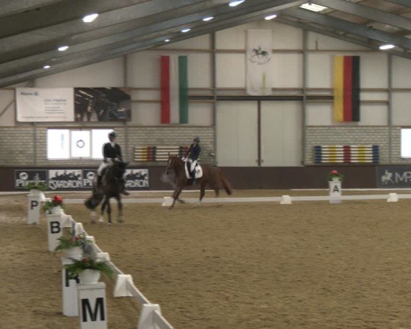 Reitturnier Bottrop-Kirchhellen 2025