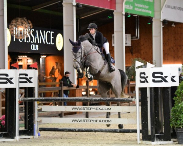 broodmare Enya de Talma (Selle Français, 2014, from Chin Chin)