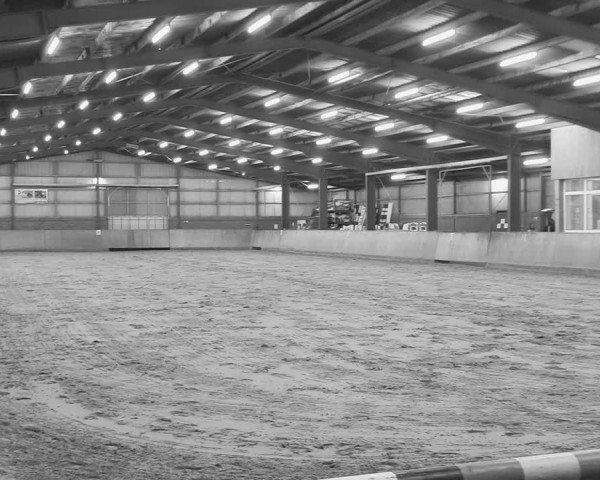 Reitturnier Ostenfelde-Vornholz 2025