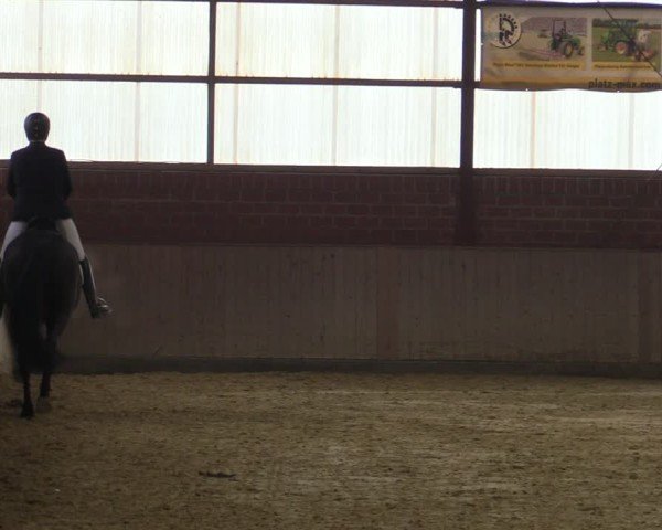 Reitturnier Ostenfelde-Vornholz 2025