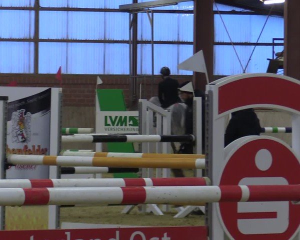 Reitturnier Ostenfelde-Vornholz 2025