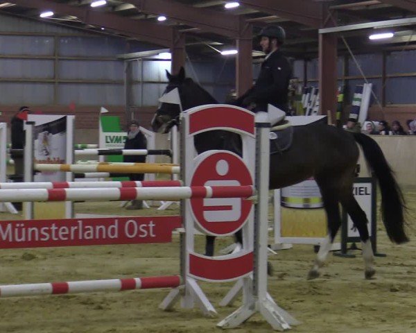 Reitturnier Ostenfelde-Vornholz 2025