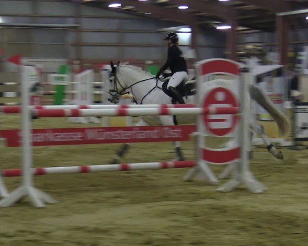 Reitturnier Ostenfelde-Vornholz 2025