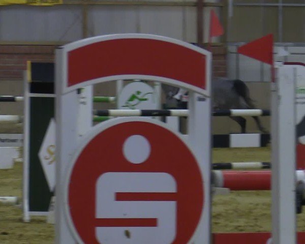 Reitturnier Ostenfelde-Vornholz 2025