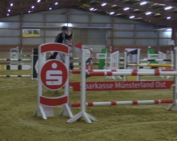 Reitturnier Ostenfelde-Vornholz 2025