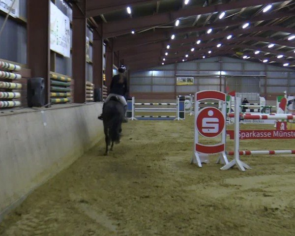 Reitturnier Ostenfelde-Vornholz 2025