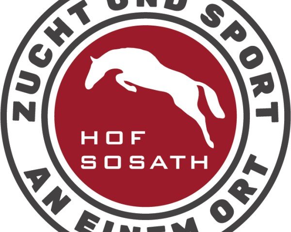 Gerd Sosath